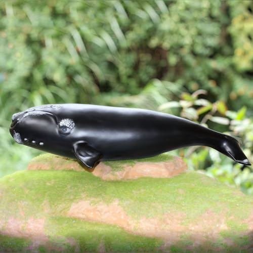 Gemini&Genius Right Whale Action Figure, Shark Animal Ocean Blackfish, Soft Rubber Ocean Whale Shark, Great for Kids Bath Swimming Beach and Cake Toppers Toys - color: Right Whale