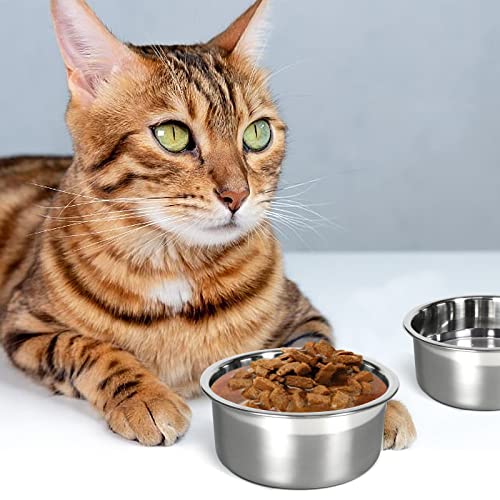 Kennel Water Bowl, 2 Packs No Spill Hanging Cage Crate Bowl for Cat, Small Dog Feeder -2 Cups / 1 Pint - size: 2 Cups 16OZ
