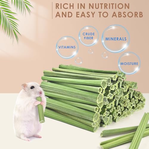 Bissap 100PCS Rabbit Chew Sticks, Natural Papaya Stems Bunny Chews Treats for Rabbits Hamsters Chinchillas Guinea Pigs Small Animals Organic Molar Chewing Snack