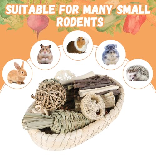 Foxtell 19Pcs Bunny Chew Toys, Rabbit Chew Sticks, Guinea Pig Toy, Natural Bunny Toys Chew and Treat for Guinea Pigs, Chinchillas, Hamsters and Other Small Pets