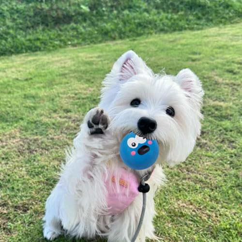 Ferret Rubber Squeaker Toy Balls Latex Puppy Cat Toy Lovely Interactive Play Tough Teething Toys Big Eyes Printed Ball Washable 4 Pack (4 Pcs)