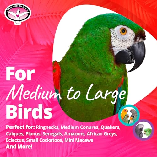 Super Bird Creations SB1219 Bamboo Climb & Forage Bird Toy - Ideal Chewing & Foraging Bird Toy for Large Birds, Parrots, Amazons, African Greys, Mini Macaws, Encourages Exploration & Physical Exercise