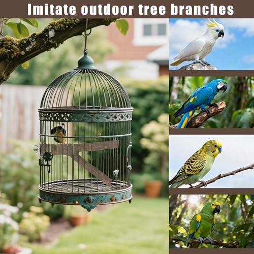 6 PCS Bird Perch Set | Natural Birch Wood, Straight & Forked Perches with Platforms, For Parakeets, Cockatiels, Conures, Lovebirds, Cage Accessories