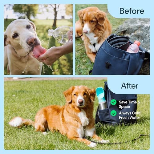 MalsiPree Insulated Dog Water Bottle - 24 oz Blue, Stainless Steel | 24oz insulated steel bottle & bowl - leak-proof - Use for dog travel, hiking, park & beach days - color: Blue, size: 24oz - Insulated