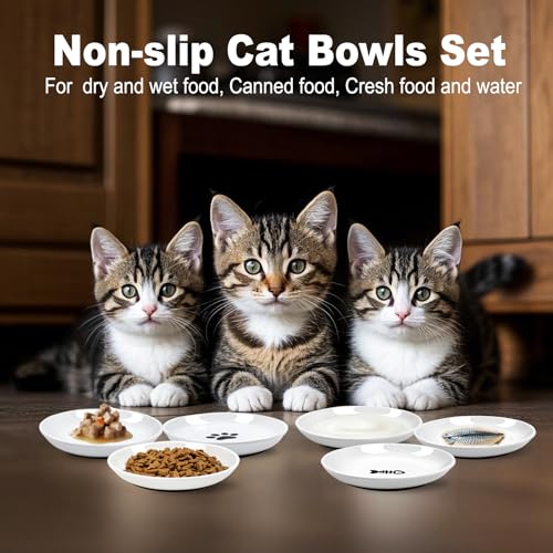 Cat Bowls,No Spill Whisker Fatigue Kittens Food Bowl with Anti-Slip Silicone,Ceramic Cat Dishes for Food Water and Wet and Dry,Shallow Plates Set for Indoor Cats,Small Dogs(6 Pack)