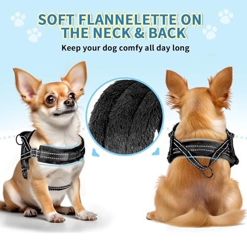 SlowTon No Pull Small Dog Harness and Leash Set with Front Clip | Soft Padded, Neck & Chest Adjustable, Lightweight, Anti-Twist, Puppy Vest Harness Pet Lead Combo for Small Medium Dog, B, XS - color: Black, size: X-Small