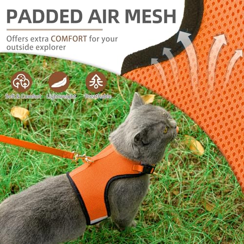 PUPTECK Soft Mesh Cat Vest Harness and Leash Set Puppy Padded Pet Harnesses Escape Proof for Cats Small Dogs Rabbits Bunny - color: Orange, size: L(NECK 8.5"-10.5", CHEST 12.5"-15", 6-10 lbs)