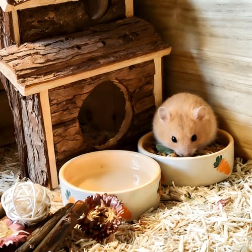 kathson 2 Pcs Hamtser Food Bowl, Guinea Pig Food Bowls, Ceramic Pet Bowl Small Animals Anti-Turning Water Bowls for Bunny Chinchilla Rat Hedgehog (S) - size: S