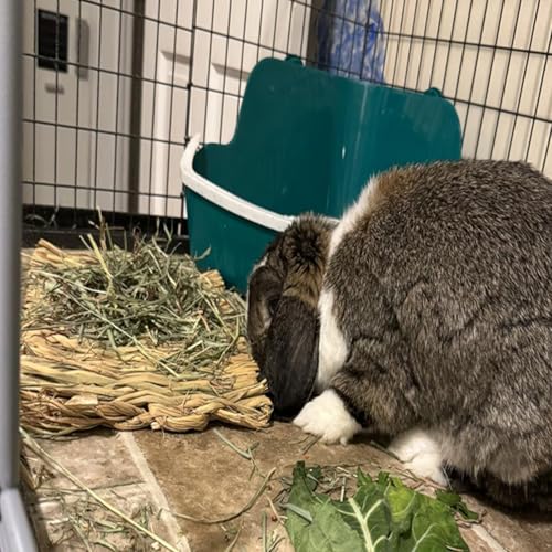 PINVNBY Natural Grass Mat for Rabbits,2 Pack Rabbit Hay Mats,100% Handwoven Hay Chewable Bedding & Cooling Mat for Bunny Guinea Pigs Hamsters Chinchillas - Eco-Friendly Cage Liner,Nesting Toy - size: 【2 PCS】