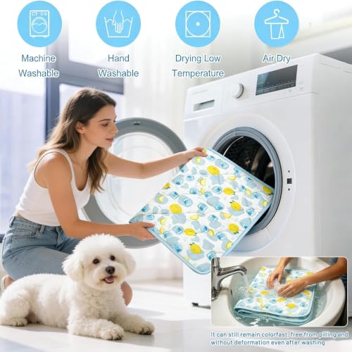 Pet Summer Cooling Blanket - 22.8" x 35.0" Double-Sided Mat Dog Puppy Self ice Cat Pad Bed Cover for Home Outdoor Sofa Sleeping Washable Portable Lightweight Small Medium Large (Blue Duck, S) - color: DD/Blue Ice