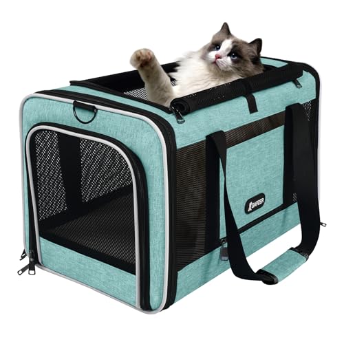 GAPZER Cat Carrier 18"x11"x11" TSA Approved Ventilated Pet Air Travel Cage | Top Open Small Animal Basic Crate, Shih Tzu Dog Softsided Durable Kennel, 4-Mesh-Side Kitty Carry on Case up to 20 lbs Teal - color: Turquoise