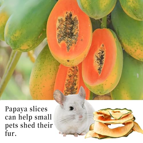 Hamiledyi Rabbits Chew Treats Dried Brussels Sprouts & Papaya for Guinea Pigs Chinchillas Hamsters Bunny Natural Small Animal Chew Toys for Teeth Grinding Foraging Treats (10 OZ) - style: Style A