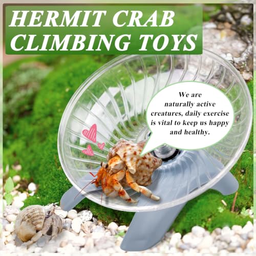 Hermit Crab Exercise Wheel - Silent Running Wheel for Crab Tank Accessories - Small Animal Wheel for Hamster Gerbils Hedgehogs (Blue) - color: Blue