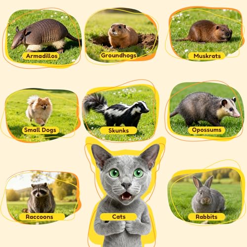 32" Heavy-Duty Folding Live Animal Trap Cage | Animal Trap Cage for Stray Cats,Raccoons,Armadillos and Rabbits