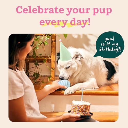 WOOF Pupsicle Interactive Dog Ball Toy for Dogs Small 10-25 lbs - Blue | Long-lasting enrichment toy for small dogs, easy-fill design, low-mess play, made of natural rubber, easy to clean - color: Blue, size: Small