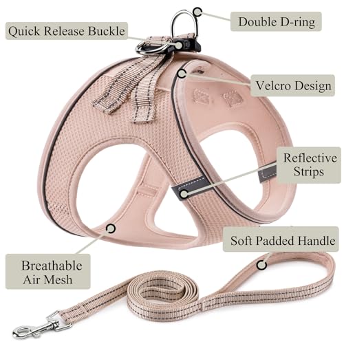 Dog Harness with Leash Set, Step-in Adjustable Puppy Vest, Light Pink XXS | Lightweight Breathable Air Mesh, Night Safety Reflective, No Pull Puppy Vest Harnesses for Small Medium Large Dogs, Cats - color: Light Pink, size: XXS(Chest:10"-12")
