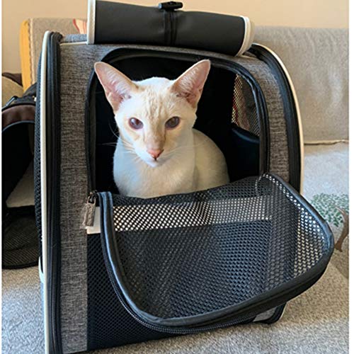 Texsens Innovative Traveler Bubble Backpack Pet Carriers for Cats and Dogs - color: Upgraded-Black