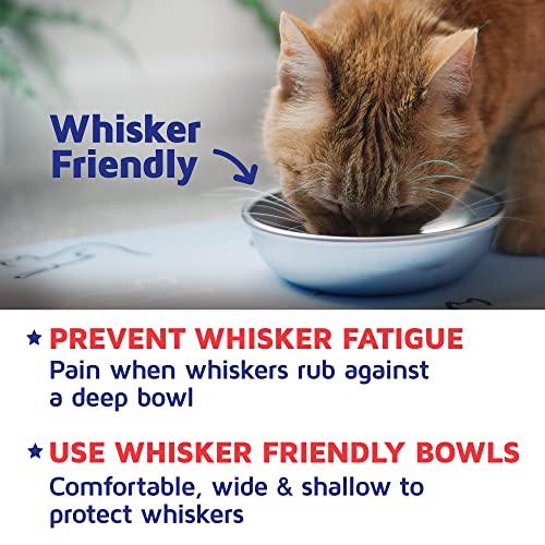 Stainless Steel Cat Bowls for Food & Water by Americat – Made in USA – Dishwasher Safe, Human Grade, Whisker Friendly Dishes (2 Bowls) - size: 2 Bowls