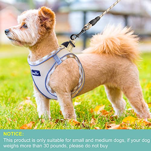 haapaw Dog Harness with Leash Set, No Pull Adjustable Reflective Step-in Puppy Harness with Thickened Padded Vest for Extra-Small/Small Medium Dogs - color: Beige, size: XS