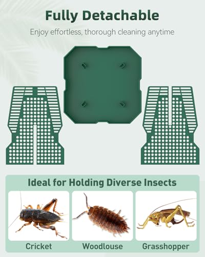 Pawfly Chameleon Feeding Bowl, Climbable Chameleon Feeder, Large Plastic Reptile Feeder Box, Bearded Dragon Food Container, Bug Bowl for Lizards, Geckos, and Frogs - color: Interlocking Feeding Dish, size: Large