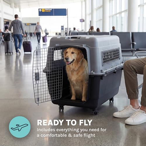 SportPet Airline Compliant X-LARGE 35.5" Travel Dog Kennel-Durable Plastic Airline Pet Carrier w/Removable Wheels & Food Bowls, Collapsible Indoor/Outdoor Dog Kennel, Dogs up to 32"L & 23"H-Dark Gray - color: Dark Gray