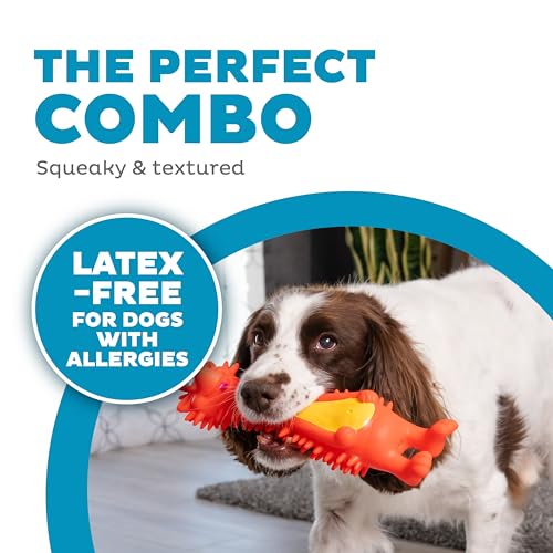 Outward Hound Latex-Free Big Squeak Hedgehog Dog Toy - color: Hedgehog, style: Big Squeak Hedgehog