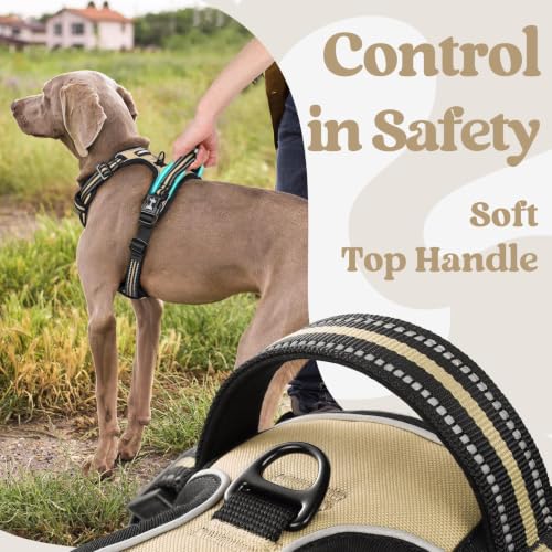 rabbitgoo Dog Harness Small Sized, Updated Easy On & Off with 3 Buckles | No Pull No Choke, Walking with 2 Clips and Handle, Adjustable Soft Reflective, Beige, Small - color: Beige, size: Small