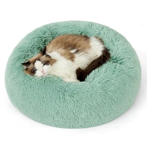 Bedsure Calming Cat Beds Donut Round Washable Kitten Bed,20 inches | Fluffy Faux Fur Cuddler,Anti-Slip Bottom,Anti-Anxiety,Deep Sleeping for Cats&Small Pets Up to 15 Lbs,Apple Green - color: Apple Green, size: 20"L x 20"W x 6"Th