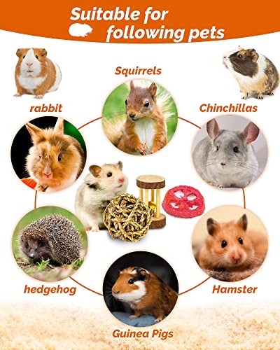Hamster & Guinea Pig Toys - 18 Pcs Wooden Small Animal Chew Toys for Teeth - Rabbit, Chinchilla, Gerbils, Rats Exercise Accessories