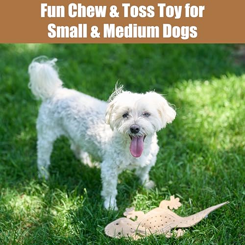 SPOT Skinneeez Leather Lizard – 15" Stuffing-Free Dog Toy with Real Leather & 2 Squeakers, Chew & Toss Toy for Small & Medium Dogs, Best for Light to Moderate Chewers - size: 15 Inch