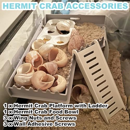 Hermit Crab Accessories - Platform with Ladder and Food Dish, Hermit Crab Climbing Toys, Habitat Supplies and Tank Accessories for Reptiles, Hamsters, Geckos, Small Lizards - color: Grey