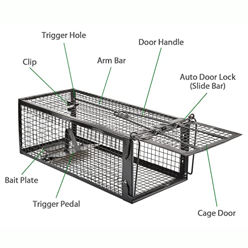 2-Pack Rat Traps Humane Live Mouse Vole Chipmunk Trap Cage (Black) | For Indoors and Outdoors, Catch and Release - color: Black