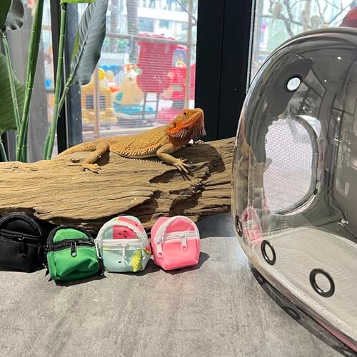 Crested Geckos Backpack Carrier,Reptile Portable Backpack Carrier with Small Backpack Harness Leash Set,Space Capsule Clear Bubble Window Travel Backpack for Lizard Travel,Guinea Pig,Bearded Dragon - color: Green