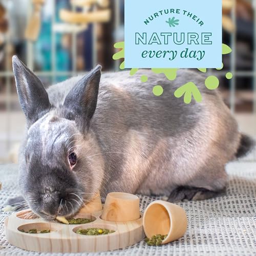 Oxbow Apple Stick Rabbit Hay Feeder, Guinea Pig Hay Holder, Chewable | Bunny Hay Feeder, Guinea Pig Hay Feeder, Rabbit Enrichment, Chewable Cage Accessory, Supports Foraging And Enrichment