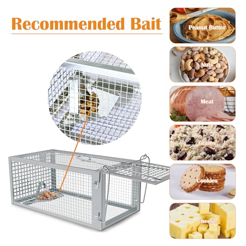 Humane Rat Trap, Chipmunk Rodent Trap that Work for Indoor and Outdoor Small Animal - Mouse Voles Hamsters Live Cage Catch and Release 1 Pack