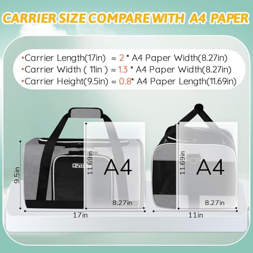 Small Pet Carrier 17" L x 11" W x 9.5" H Airline Approved, Grey | for Alaska Airlines, Lockable Safety Zippers and Anti-Scratch Mesh, Pets Under 10 lbs - color: Grey, size: 17.0"L x 11.0"W x 9.5"H