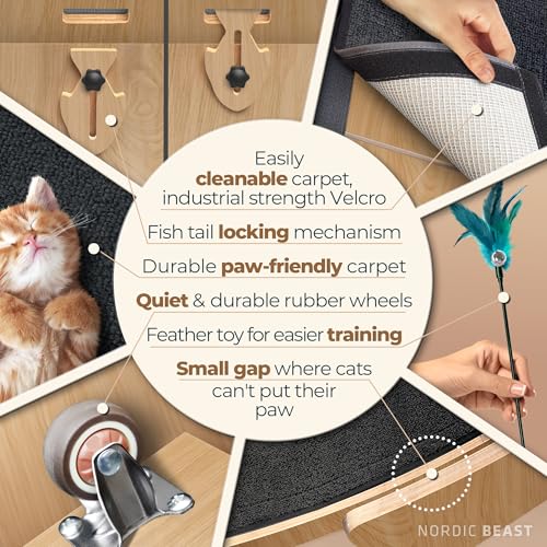 Walnut Wood 48'' XL Cat Wheel - Cat Wheels for Indoor Cats Which Doesn't Negatively Affect Your Cat's Spine - 15.7'' Extra Wide Walnut Exercise Wheel - Fits 2 Cats Side-by-Side, 1-Year Warranty - color: Walnut