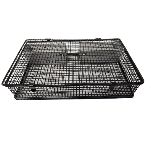 Rugged Ranch Products Mousinator Multi Catch Metal Wire Mouse Trap Cage with 2 Door Entry and Easy to Open Top Lid for Pest Control, Black - color: Mouse, size: 1 Pack