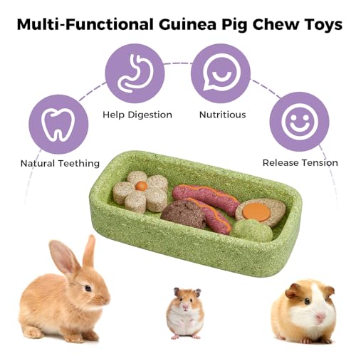 mini&moe Hamster Chew Toys for Teeth - Guinea Pig Chews and Treats Natural Hamster Enrichment Toys Improve Dental Health for Rat, Bunny, Chinchilla, Gerbils and Small Animal