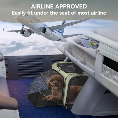 Petsfit Medium Expandable Cat Carrier for Air Travel, Up to 13 lb | 17 x 11 x 11 in; sized for Delta Airlines, with locking zippers, a handy D-ring, large pocket and multi-side ventilation. - color: Green, size: 17.0"L x 11.0"W x 11.0"H