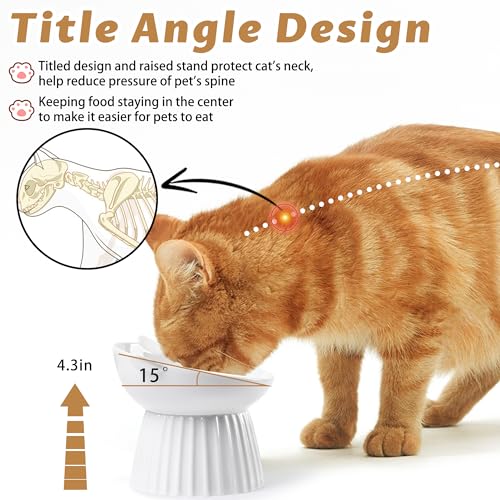 Ceramic Raised Cat Bowl，Tilted Raised Cat Bowl Anti Vomit Cat Bowls for Indoor Cats Whisker Friendly Pet Feeder for Cats Puppies, Microwave and Dishwasher Safe - color: White