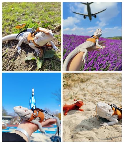 Reptile Pets Leash Harness Set with Jackets and a Party Theme Hat for Bearded Dragon Lizard, Leopard Gecko and Other Small Animal Pets, Outdoor Play, Green - color: Laser Green