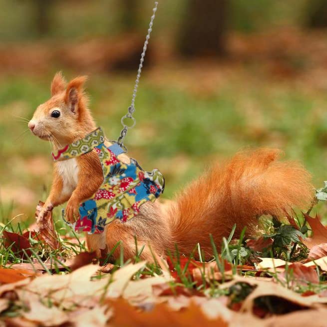 Squirrel Harness and Leash Set, Adjustable Flora Blue Printing, for Ferret, Squirrel, Dwarf Chinchilla, Guinea Pig, Fancy Rat - size: Large