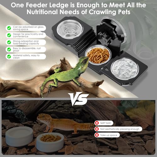 Crested Gecko Feeding Ledge with 6 PVC Cups，Strong Suction Reptile Feeder | Easy-Clean Space-Saving Crested Gecko Food & Water Dish, Ideal for Leopard Geckos, Lizards, Spiders ,Snails and Small Birds