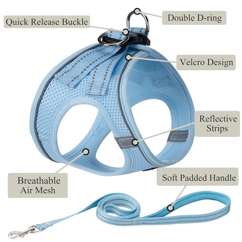 Dog Harness with Leash Set, Step-in Adjustable Puppy Pet Vest,Sky Blue XXS | Lightweight Breathable Air Mesh, Night Safety Reflective, No Pull Puppy Vest Harnesses for Small Medium Large Dogs, Cats - color: Sky Blue, size: XXS(Chest:10"-12")