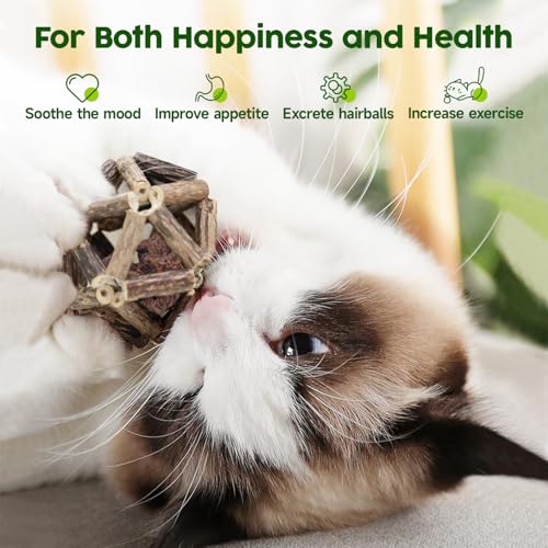Potaroma Catnip Toys, 3Pcs Cat Toys Natural Silvervine Stick Cage Balls & Bell Ball for Indoor Cats, Kitten Cleaning Teeth Molar Matatabi Cat Chew Toy All Breeds | Kitten Cleaning Teeth Molar Matatabi Cat Chew Toy for Indoor Cats All Breeds with Bell
