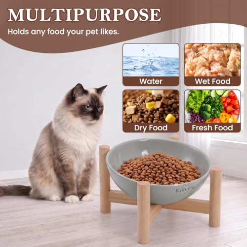15° Slanted Rim Ceramic Cat Bowl, Anti-Spill for Small Cats | Food-safe Ceramic with Wooden Stand,Ergonomic Tilt Relieves Neck Strain,Anti-Vomiting,Prevents Whisker Fatigue,Gray - color: Gray