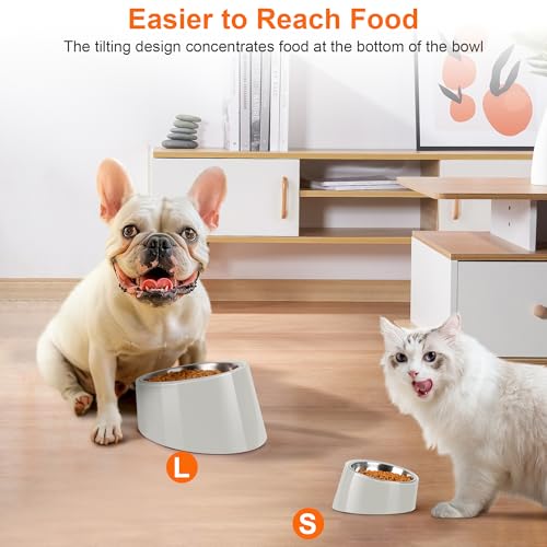 Tilted Dog Bowl Non-Slip & Non-Spill Pet Feeder with Elevated Detachable Melamine Stand, Easy to Get Food Dog Dish, S/100ml Gray - color: Grey, size: Small(100ml)