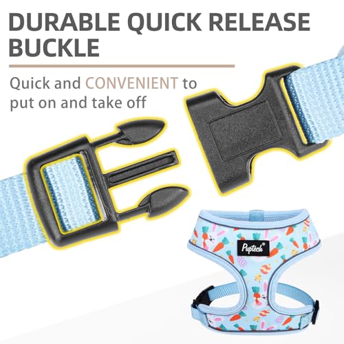 PUPTECK Soft Mesh Dog Harness and Leash Set Pet Puppy Cat Comfort Padded Vest No Pull Harnesses, Easter Blue, S - color: Baby Blue, size: S (NECK: 12", CHEST: 14"-18")