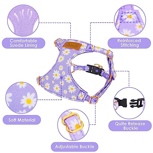 Lukovee Puppy Harness and Leash Set, No Pull, Lightweight Step in Vest | Adjustable, Soft Suede Vest, Easy Put on and off Pet Harness with Snap Buckle & 51in Leash for Small Medium Dogs (Purple,XXS) - color: Purple Daisy, size: XX-Small ( 2.2-6lb )